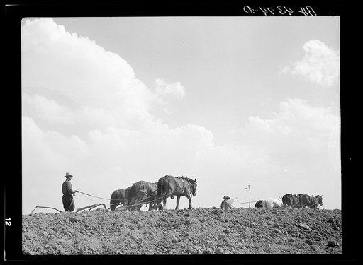 At work on a stock water dam. Pine Ridge land use project. Sioux County, Nebraska