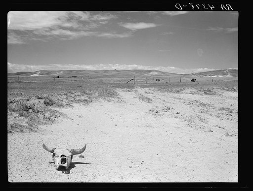 A homestead on submarginal and overgrazed land. Pennington County, South Dakota