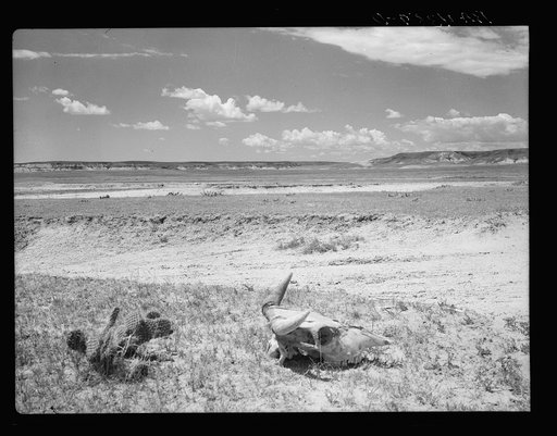 Overgrazed land. Pennington County, South Dakota