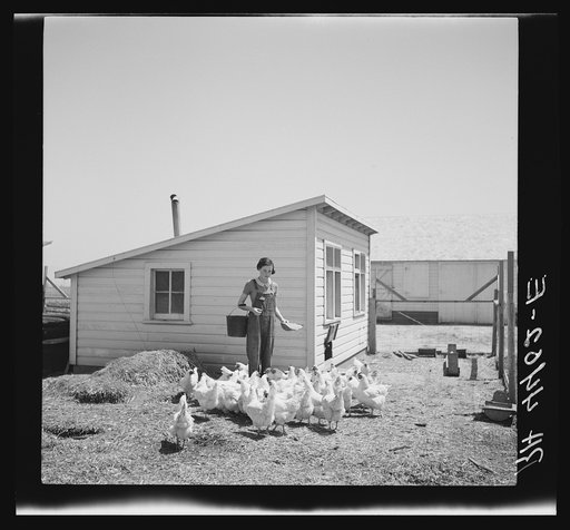 Daughter of farmer resettled on Kearney Farmsteads, Nebraska