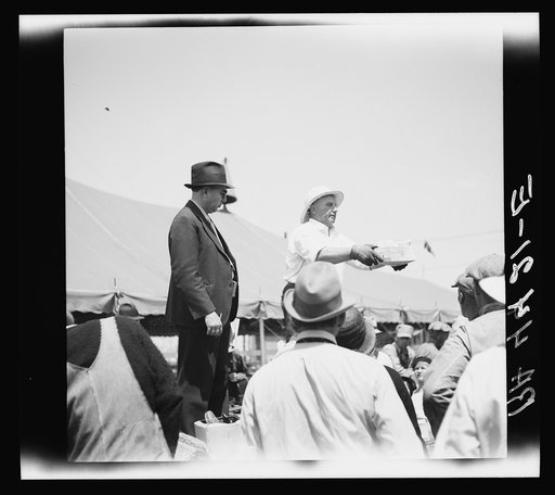 Auction. Kearney, Nebraska