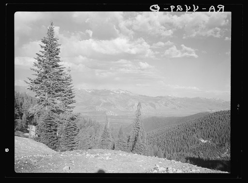Teton National Forest, Wyoming