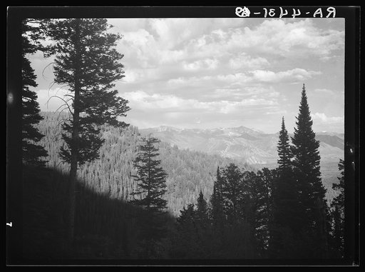 Teton National Forest, Wyoming