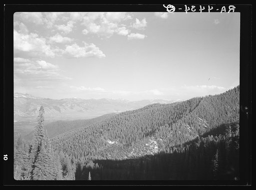 Teton National Forest, Wyoming