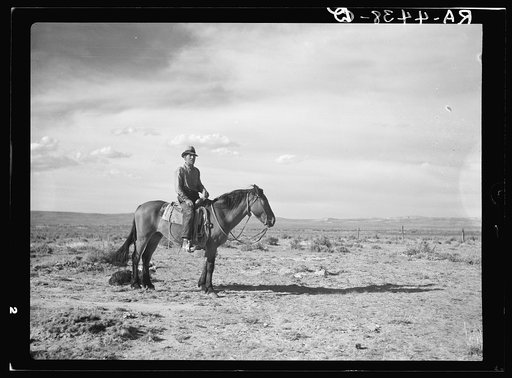 Sheep herder. Natrona County, Wyoming