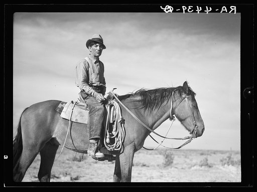 Sheep herder. Natrona County, Wyoming