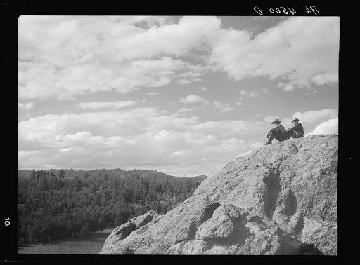 Scene in Custer State Park. South Dakota