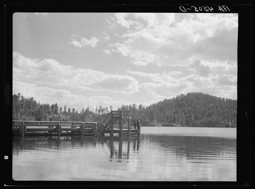 Lake developed for recreation purposes. Custer State Park, South Dakota