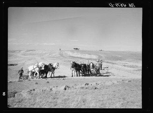 Building a stock water dam. Pennington County, South Dakota