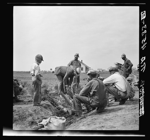 Discussing the method of planting strawberry bushes to prevent gulley erosion. Falls City Farmsteads, Nebraska