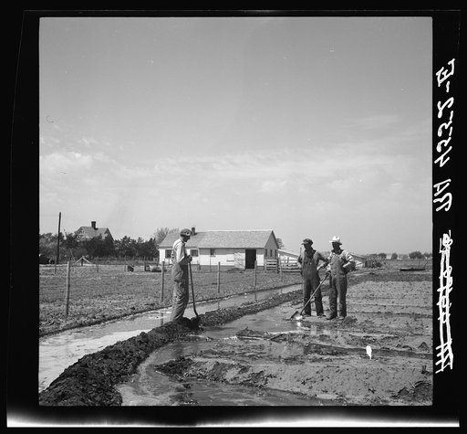 Irrigating Kearney Farmsteads. Nebraska
