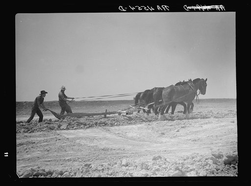 Construction on a stock water dam. Dawes County, Nebraska