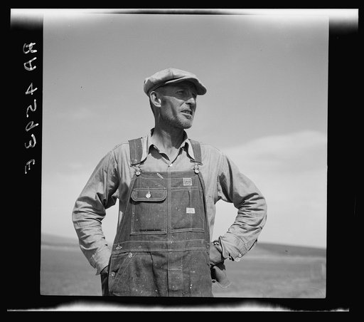 Cooperative president. Loup City Farmsteads, Nebraska