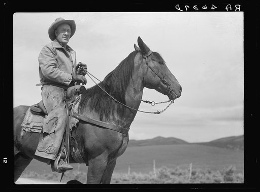 Sheep rancher. Oneida County, Idaho