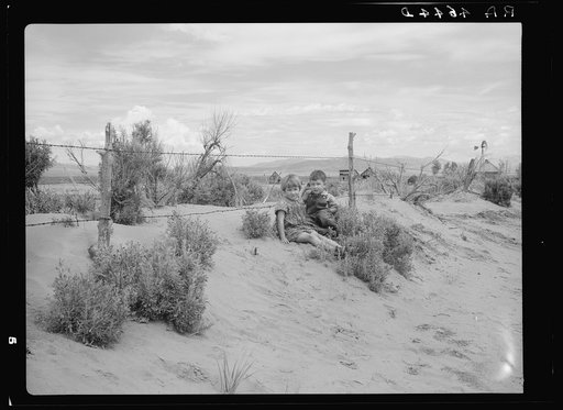 Sandy soil blown against fence. Oneida County, Idaho0441