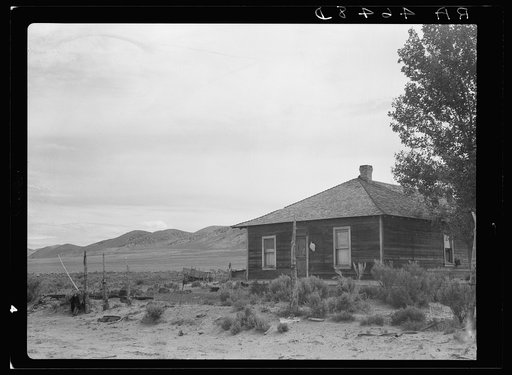 Farm on grazing project. Oneida County, Idaho