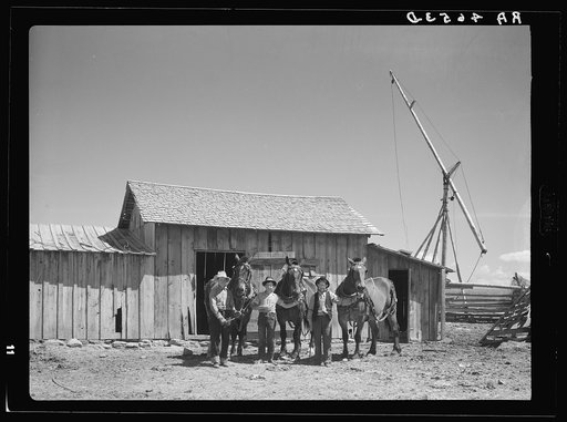 Team of horses bought with Resettlement Administration loan. Ada County, Idaho