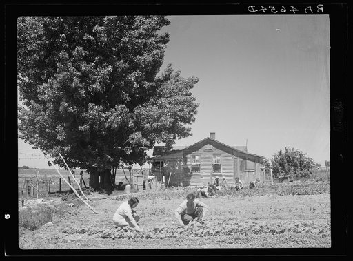 Rehabilitation family at work in garden. Ada County, Idaho