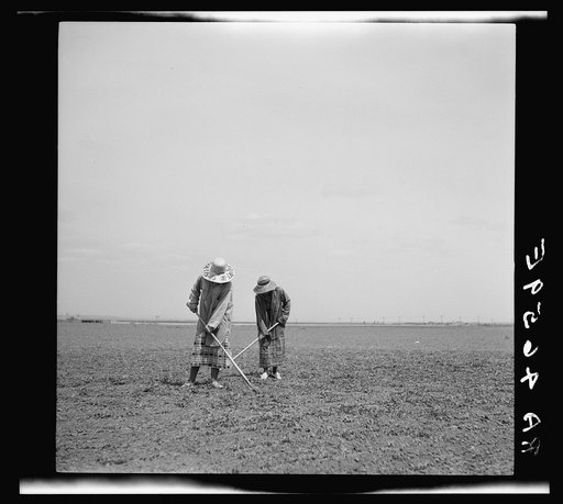 Mexican beet field workers. Pennington County, South Dakota