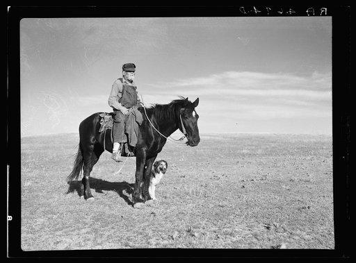Sheep herder. Pennington County, South Dakota