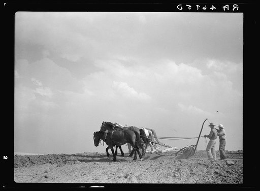 Working on a stock water dam. Pennington County, South Dakota