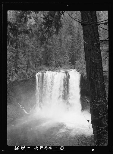Koosah Falls on the McKenzie River. Cascade Range, Oregon