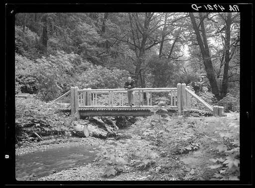 Rustic bridges built by Resettlement Administration workers add to the beauty of stream and forest in the coast recreation area. Oregon