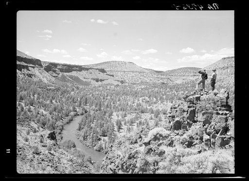 The Deschutes River Canyon covered with sparse grass, stunted cedars and rimrock. Central Oregon grazing project