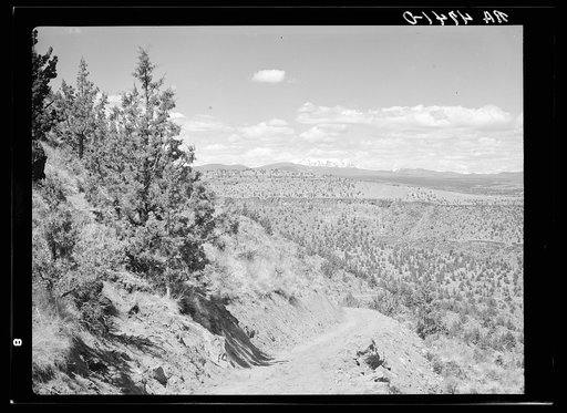 A stock trail built by the Resettlement Administration leading to the Deschutes River. Peaks of the Cascades in the distance. Oregon