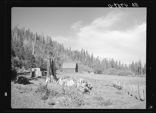 A farm on cut-over land in the Coastal Range. Oregon