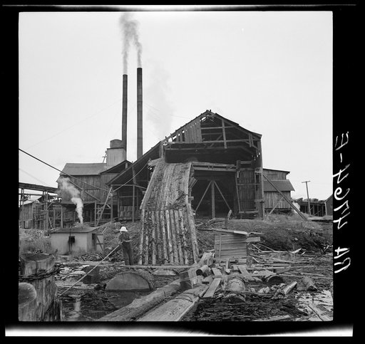 Sawmill. McMinnville, Oregon