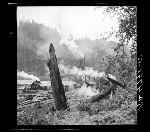 Sawmill near Mapleton, Oregon