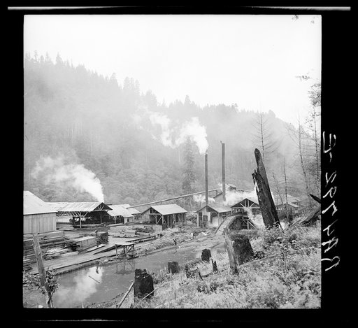 Sawmill near Mapleton, Oregon