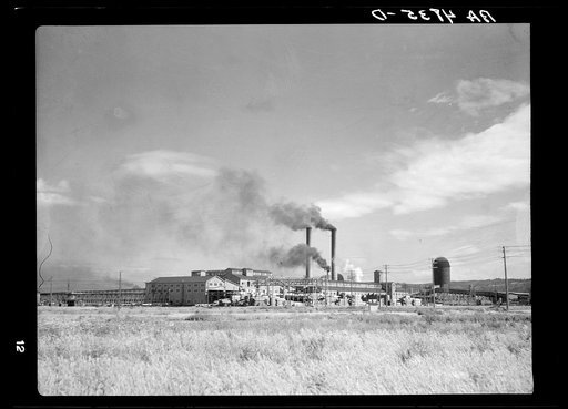 Weyerhauser sawmill at Longview, Washington, employs many of the Longview Homesteaders