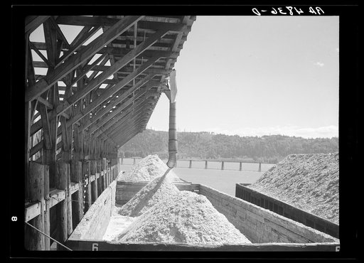 Sawdust from the Longview sawmill is dumped into barges on the Columbia River. Washington