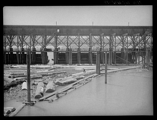 Logs in Columbia River. Longview, Washington