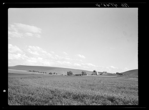 Prosperous farm near Pullman, Washington