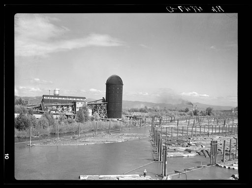 Lumber in Columbia River for sawmills at Longview, Washington