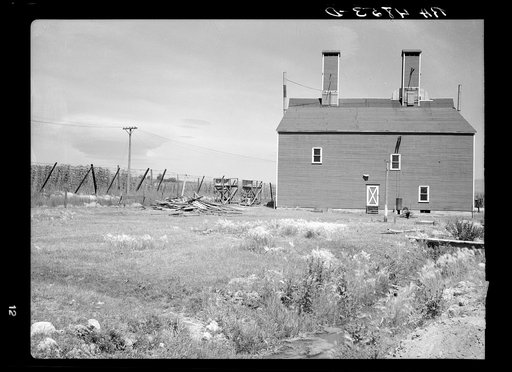 Hop field and drying barn. Yakima, Washington
