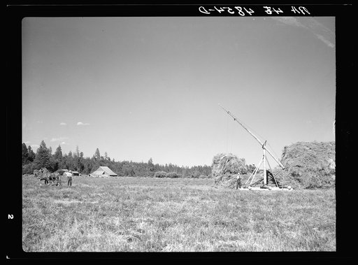 Using of a hay derrick on farm near Walla Walla, Washington