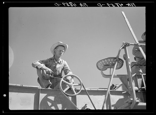 Oiling combine during winter wheat harvest. Whitman County, Washington