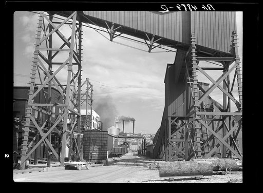 One of the largest sawmills in the world. Employs many of the Resettlement Administration homesteaders at Longview. Washington
