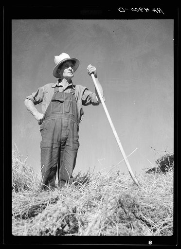Farm hand. Goldendale, Washington