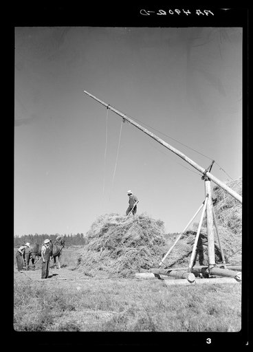 Operating a hay derrick near Goldendale, Washington