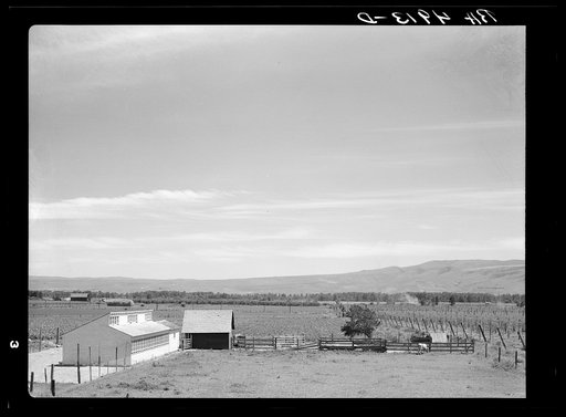 Farm in Yakima Valley, Washington