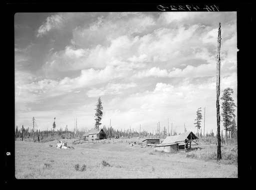 Typical submarginal farm on project near Newport, Washington