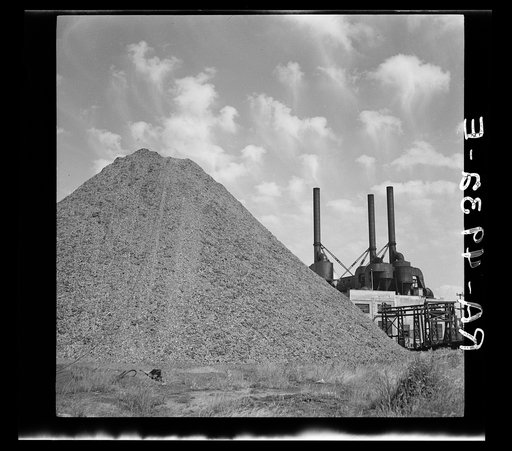 Waste sawdust from the Columbia River mills is shipped to Portland power plants for use as fuel. Oregon
