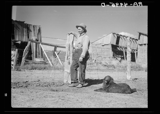 Central Oregon sheep herder