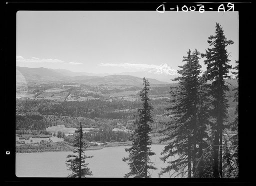 Mount Hood and the Hood River Valley. Oregon