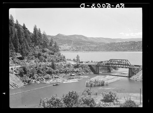 Logs on White Salmon River at its junction with the Columbia River. Oregon